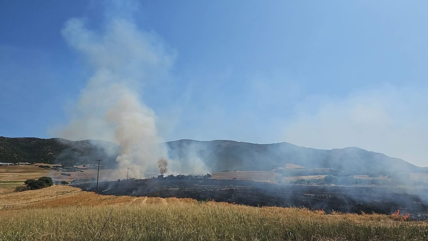 Οριοθετήθηκε άμεσα η φωτιά στη Γαλάτιστα Χαλκιδικής