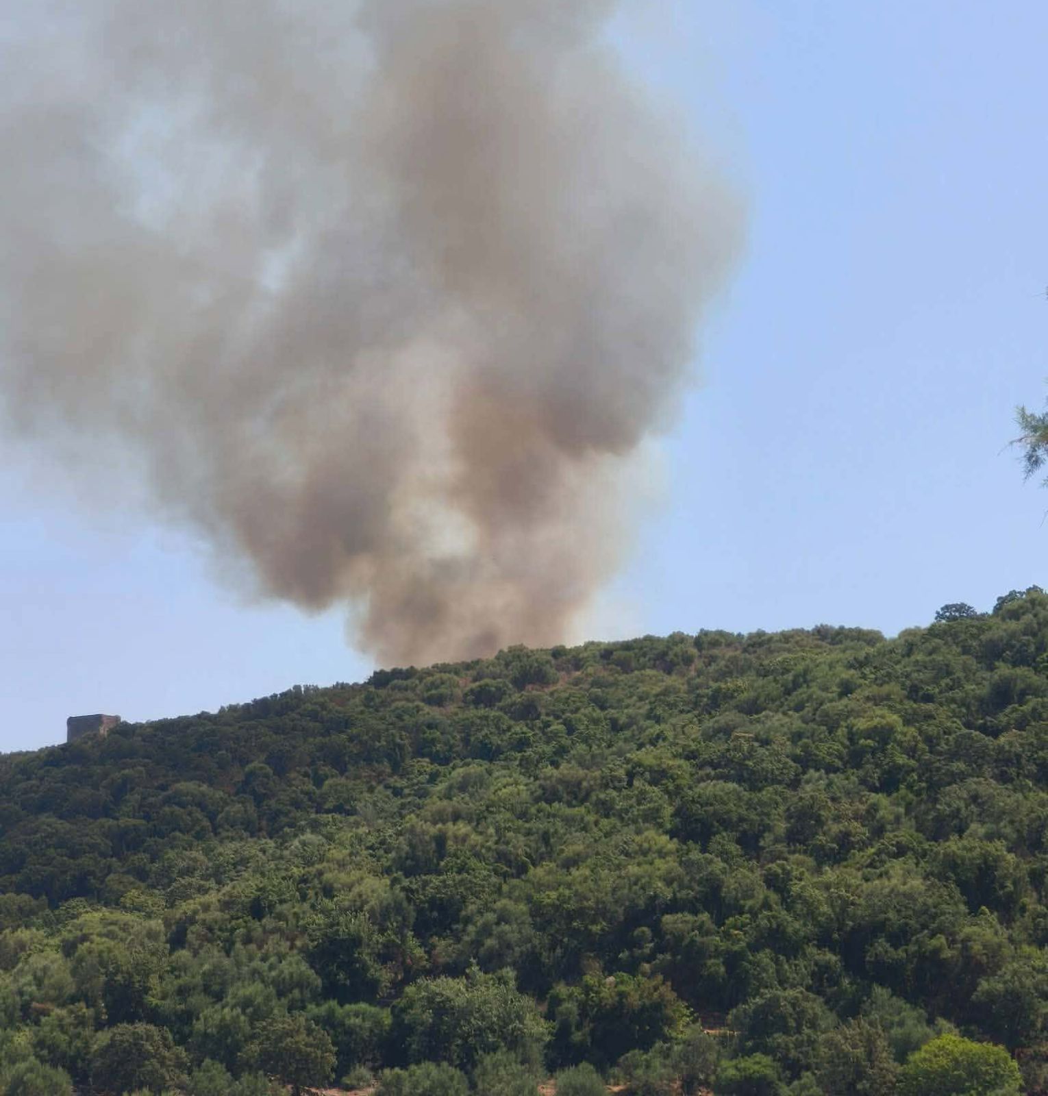 Φωτογραφία