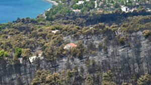 Προφυλακίστηκαν ο δήμαρχος Στυλίδας και δύο ακόμη για την καταστροφική πυρκαγιά στην Αττικοβοιωτία
