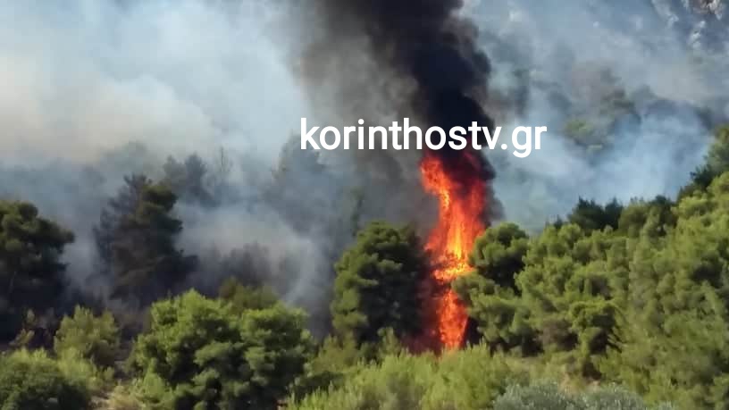Φωτογραφία
