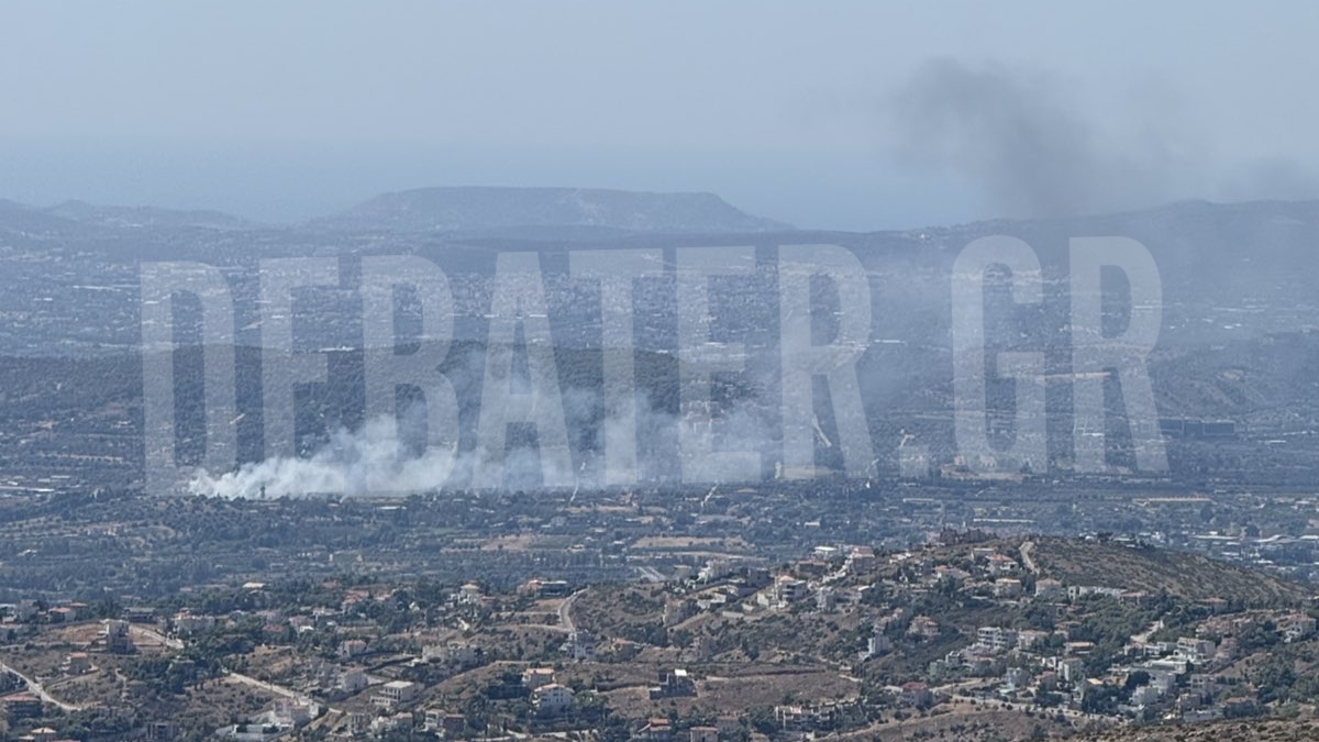 Χωρίς ενεργό μέτωπο η φωτιά στην Αργιθέα Κορωπίου – Κατεσβέσθη μέσα σε 30 λεπτά (βίντεο)