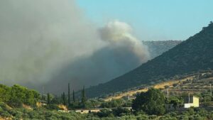 Φωτιά στον Κουβαρά Αττικής: Εκκενώθηκε ο Άγιος Στυλιανός – Κάηκαν κτηνοτροφικές μονάδες (βίντεο)