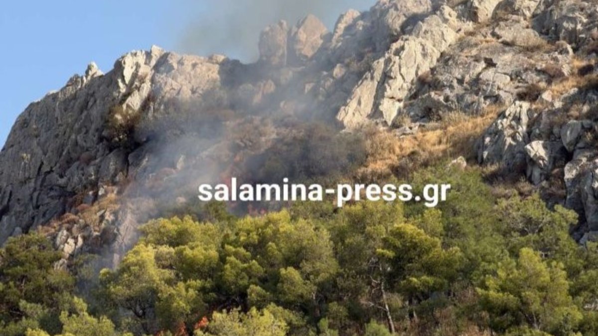 Σαλαμίνα: Οριοθετήθηκε μέσα σε 30 λεπτά η πυρκαγιά στον Προφήτη Ηλία