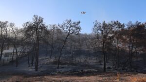 Φωτιά στη Σαλαμίνα: Βελτιωμένη η εικόνα σε Περιστέρια και Σελίνια – Σοβαρά τρεις από τους τραυματίες, δεκάδες καμένα σπίτια