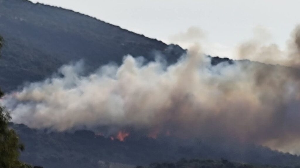 Φωτιά στον Βόλο: Δύο διαφορετικά μέτωπα σε Αϊβαλιώτικα και Σωρό – Στη μάχη 50 πυροσβέστες και 5 εναέρια μέσα