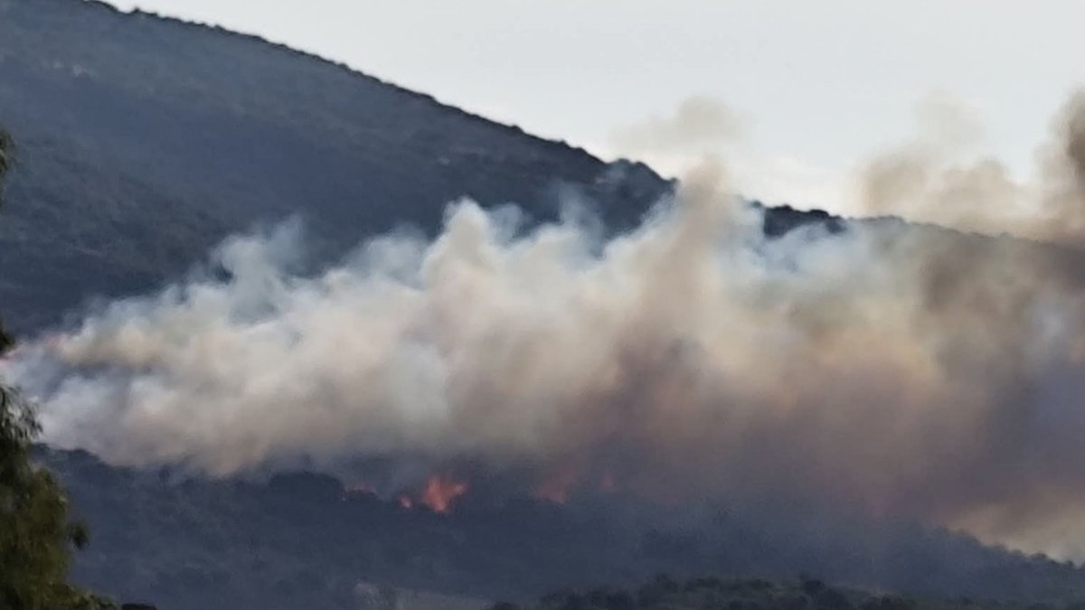 Φωτιά στον Βόλο: Δύο διαφορετικά μέτωπα σε Αϊβαλιώτικα και Σωρό – Στη μάχη 50 πυροσβέστες και 5 εναέρια μέσα