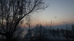Φωτιά στη Σίβηρη: 2.480 στρέμματα έκαψε η πυρκαγιά – Τι δείχνουν τα στοιχεία του Copernicus