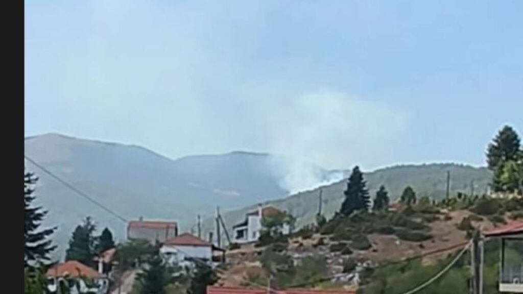 Πυρκαγιά στο Ξηρολίβαδο Βέροιας – Σηκώθηκαν τρία εναέρια μέσα