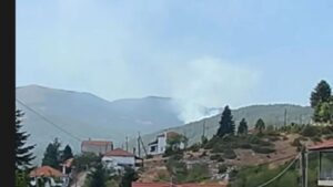Πυρκαγιά στο Ξηρολίβαδο Βέροιας – Σηκώθηκαν τρία εναέρια μέσα