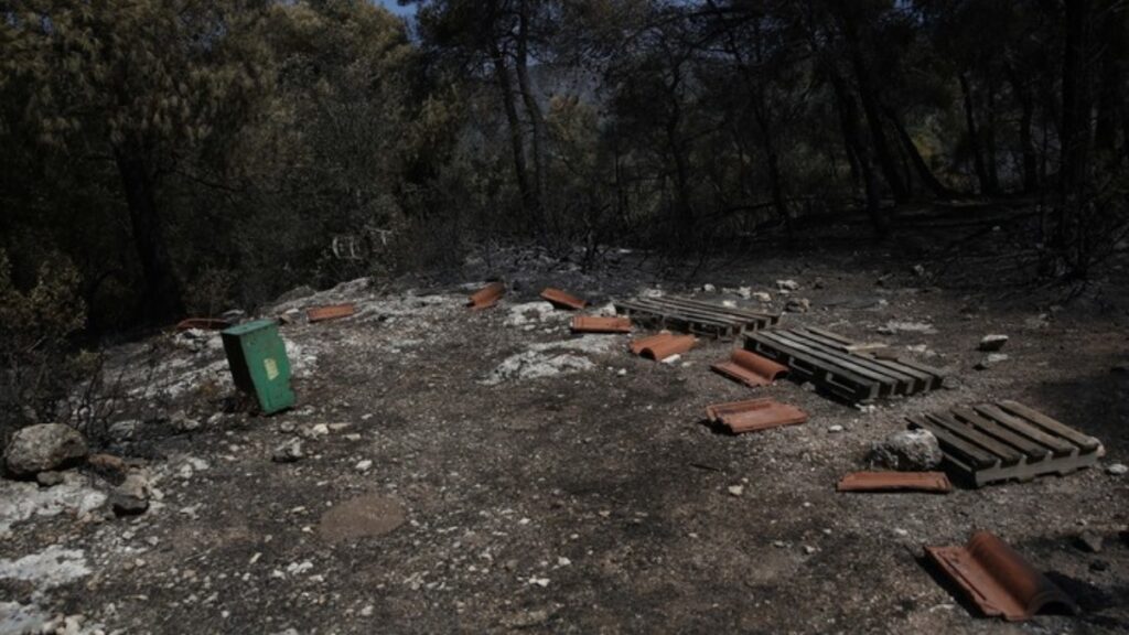Με ταχείς ρυθμούς οι διαδικασίες αποκατάστασης μετά την πυρκαγιά στη Δυτική Αττική