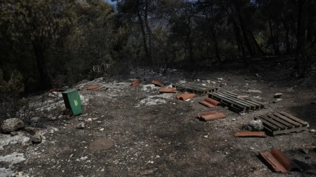 Με ταχείς ρυθμούς οι διαδικασίες αποκατάστασης μετά την πυρκαγιά στη Δυτική Αττική