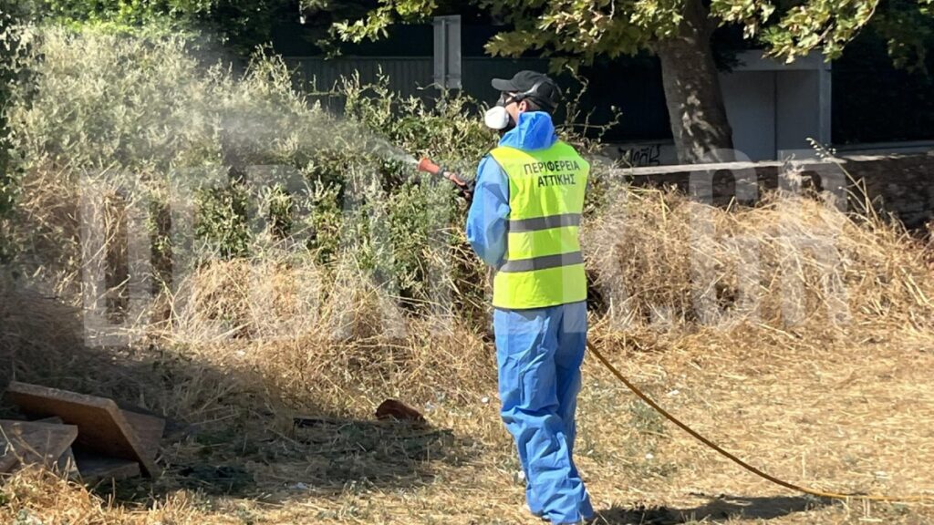 Ιός του Δυτικού Νείλου: Εντατικοποιούνται οι ψεκασμοί μετά τα επιπλέον κρούσματα σε Κηφισιά και Ψυχικό – Ποιες περιοχές είναι στο κόκκινο (φωτογραφίες)