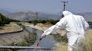 Ιός του Δυτικού Νείλου: Μεγάλη η έξαρση ως τα τέλη Αυγούστου – 8 στους 10 που νοσούν δεν εκδηλώνουν συμπτώματα
