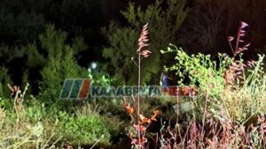 Τραγωδία στα Καλάβρυτα: Νεκρή 46χρονη μετά από πτώση αυτοκινήτου σε γκρεμό