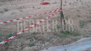 Τροχαίο στα Άνω Λιόσια: Η κατάσταση των τραυματιών μετά την τραγωδία με την νεκρή 17χρονη