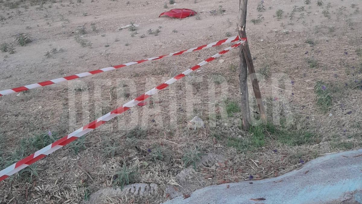 Φωτογραφία
