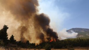 Πυρκαγιές σε Αττική και Βοιωτία: Το πολωμένο μελτέμι ήταν ένα “από τα ισχυρότερα επεισόδια των τελευταίων 50 χρόνων” – Η ανάρτηση Κολυδά