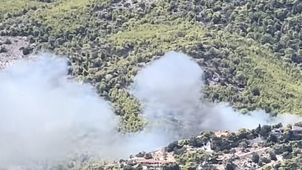 Δείτε πώς ξεκίνησε η φωτιά στη Σαλαμίνα – Το βίντεο που αποτυπώνει την ταχύτητα της πυρκαγιάς
