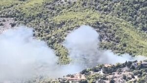 Δείτε πώς ξεκίνησε η φωτιά στη Σαλαμίνα – Το βίντεο που αποτυπώνει την ταχύτητα της πυρκαγιάς