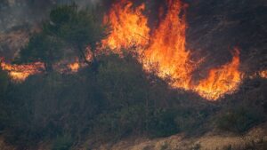 Χαλκιδική: Απαγόρευση κυκλοφορίας σε δασικές περιοχές λόγω υψηλού κινδύνου πυρκαγιάς