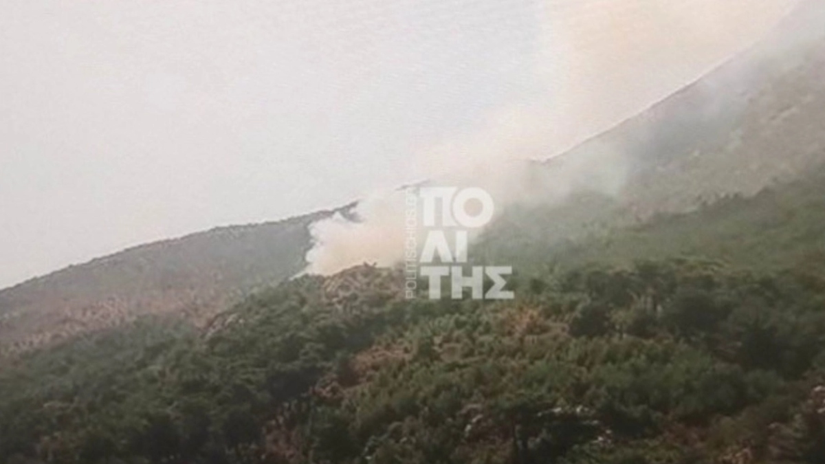 Φωτιά στο Βίκι Χίου: Σηκώθηκαν πέντε εναέρια μέσα, μήνυμα από το 112 για ετοιμότητα