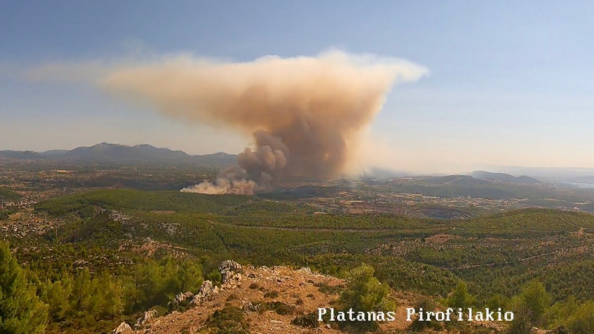 Φωτιά στην Μακρυκάπα Ευβοίας – Ενισχύθηκαν οι δυνάμεις, νέο μήνυμα από το 112 για εκκένωση προς Ψαχνά (βίντεο)