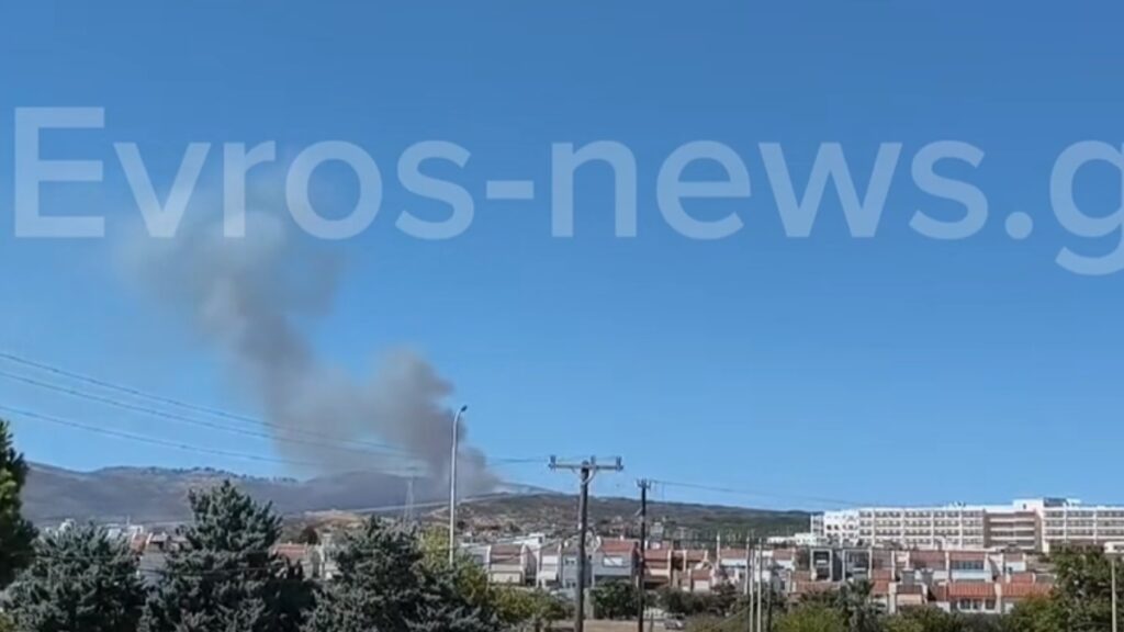 Φωτιά σε δασική έκταση κοντά στην Εγνατία Οδό στην Αλεξανδρούπολη – Επιχειρούν και τέσσερα εναέρια μέσα (βίντεο)