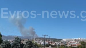 Αλεξανδρούπολη: Οριοθετήθηκε η φωτιά κοντά στην Εγνατία Οδό