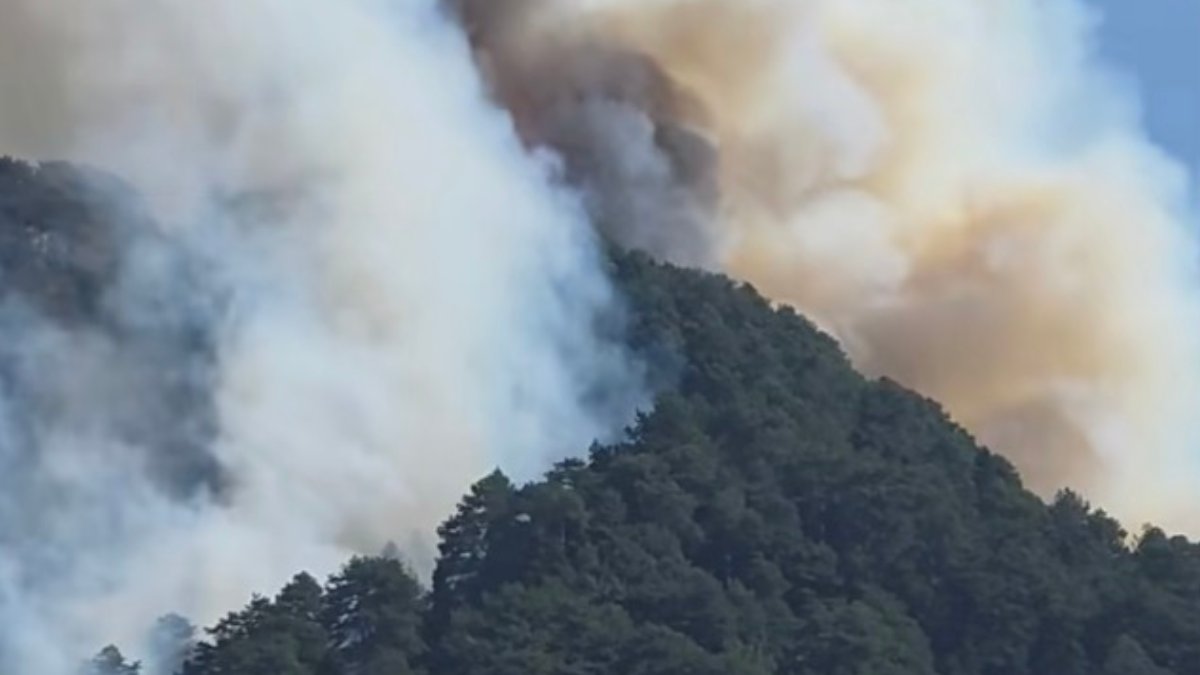 Ανεξέλεγκτη η φωτιά στην Κόνιτσα – Στις φλόγες η χαράδρα του Στομίου, μάχη με 13 εναέρια