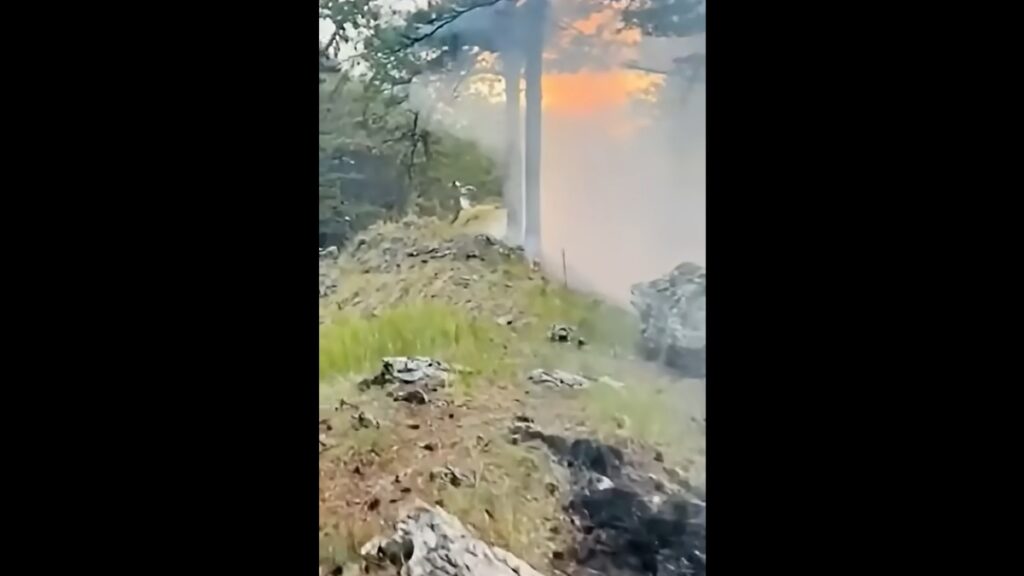 Πυρκαγιά στην Κόνιτσα: Ενισχύθηκαν οι δυνάμεις – Επιχειρούν και 6 ελικόπτερα (βίντεο)
