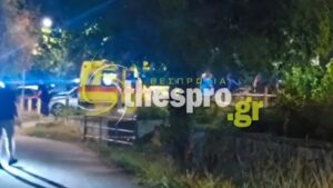 Ηγουμενίτσα: Ο 27χρονος ομολόγησε τη δολοφονία της 25χρονης συντρόφου του – Την μαχαίρωσε θανάσιμα μετά από καυγά