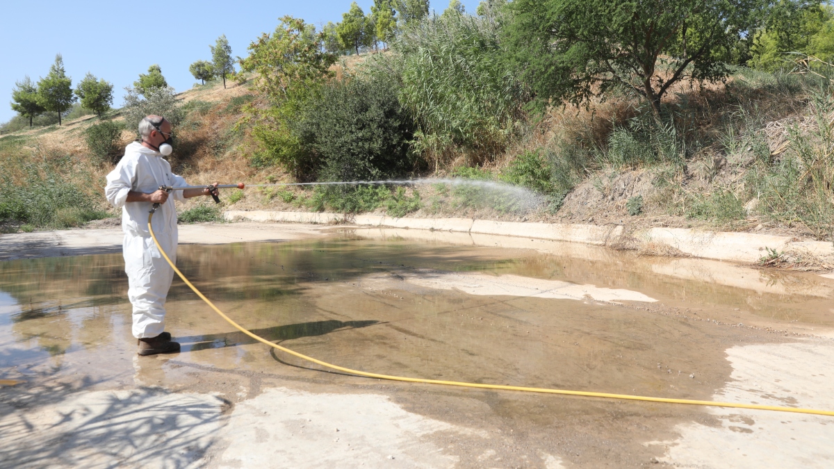 Ιός του Δυτικού Νείλου: 34 νέα κρούσματα – Στους 30 συνολικά οι θάνατοι