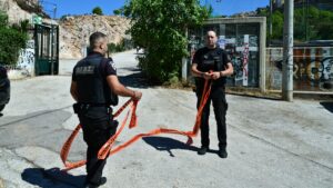 Κυψέλη: Τα οστά μεταφέρθηκαν πρόσφατα στην Αλεπότρυπα – Πού εστιάζουν οι έρευνες