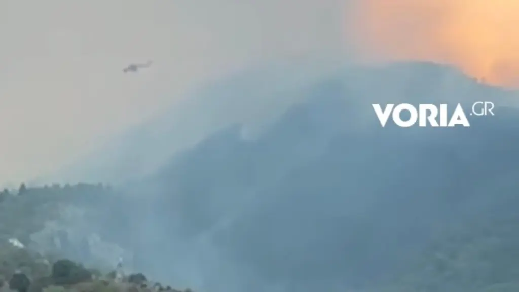 Φωτιά στην Κόνιτσα: Στάχτη 6.290 στρέμματα δάσους σε περιοχή Natura 2000