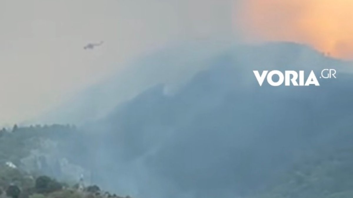 Φωτιά στην Κόνιτσα: Στάχτη 6.290 στρέμματα δάσους σε περιοχή Natura 2000