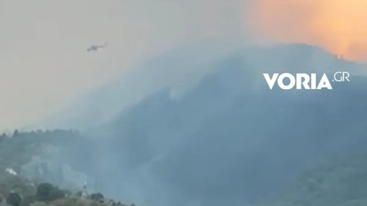 Φωτιά στην Κόνιτσα: Στάχτη 6.290 στρέμματα δάσους σε περιοχή Natura 2000