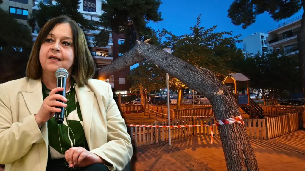 Καλαμαριά: Εντολή για πλήρη έρευνα μετά την πτώση δέντρου σε μητέρα και 2χρονη