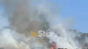 Υπό έλεγχο η φωτιά σε ξερά χόρτα στη Λαμία