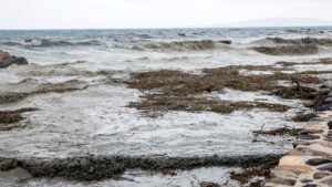Επικαιροποιήθηκε το έκτακτο δελτίο καιρού: Ισχυρές βροχές και καταιγίδες μέχρι το μεσημέρι τη Κυριακής