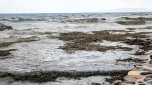 Επικαιροποιήθηκε το έκτακτο δελτίο καιρού: Ισχυρές βροχές και καταιγίδες μέχρι το μεσημέρι τη Κυριακής