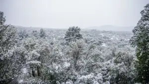 Νέο κύμα κακοκαιρίας από αύριο με κρύο, βροχές και καταιγίδες – Σε ποιες περιοχές θα χιονίσει