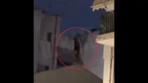 Σεπόλια: Άνδρας ανέβηκε σε σκεπή και πέταξε πέτρες και τούβλα σε περαστικούς (βίντεο)